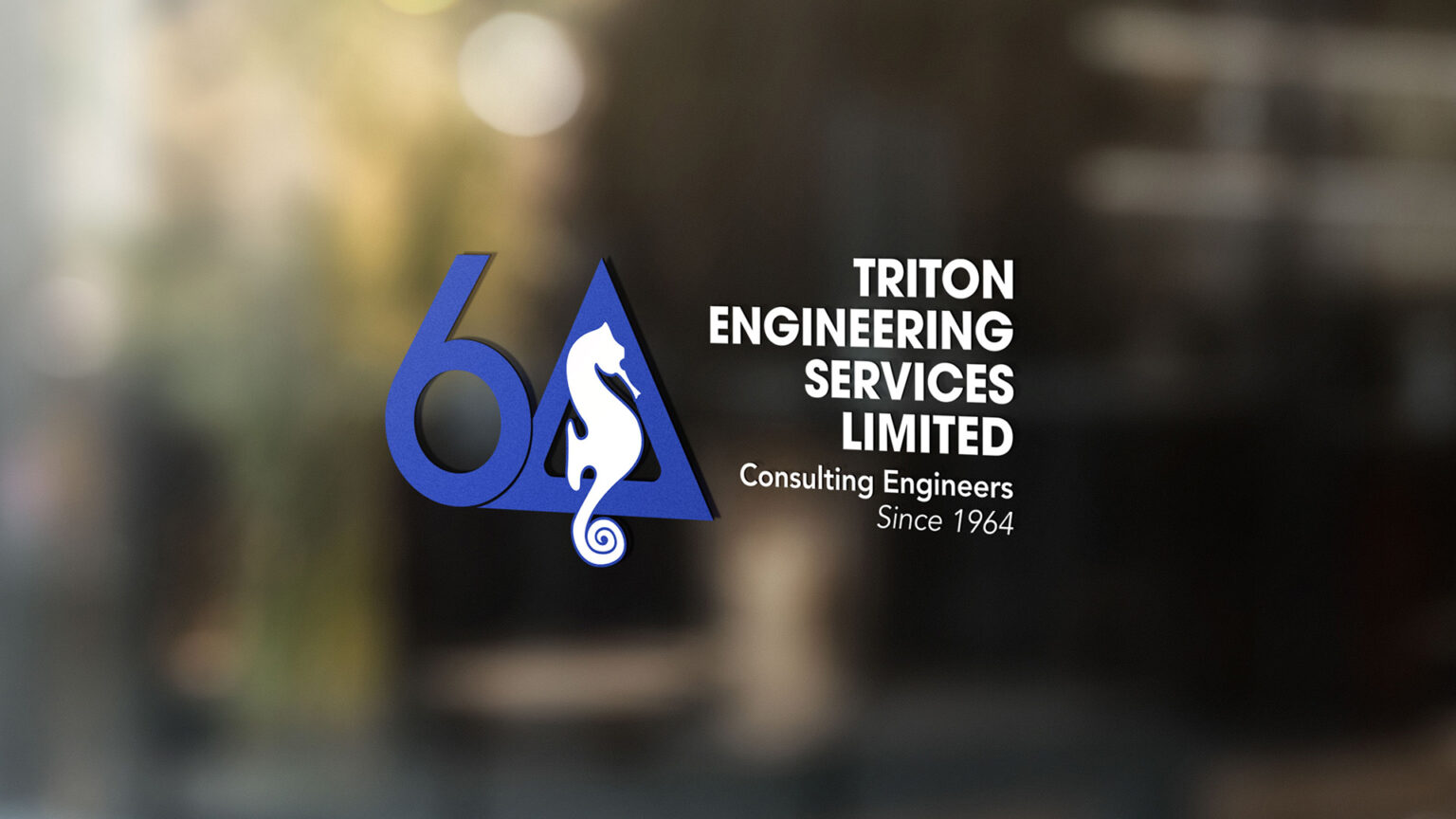 Triton Engineering Services Limited